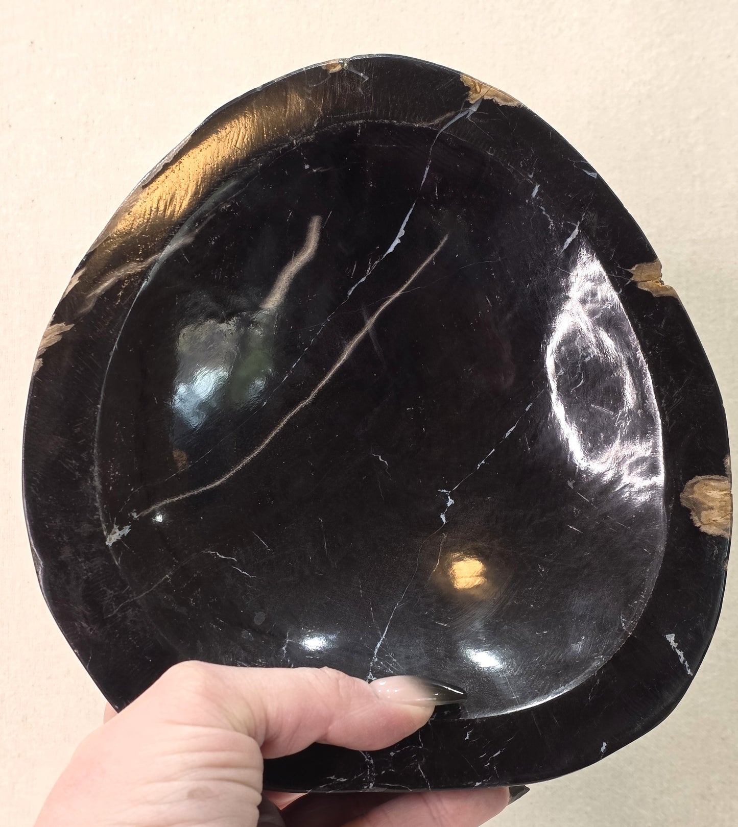 Petrified Wood Bowl