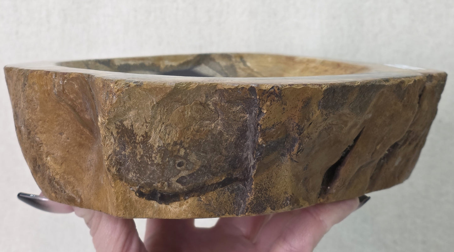 Petrified Wood Bowl
