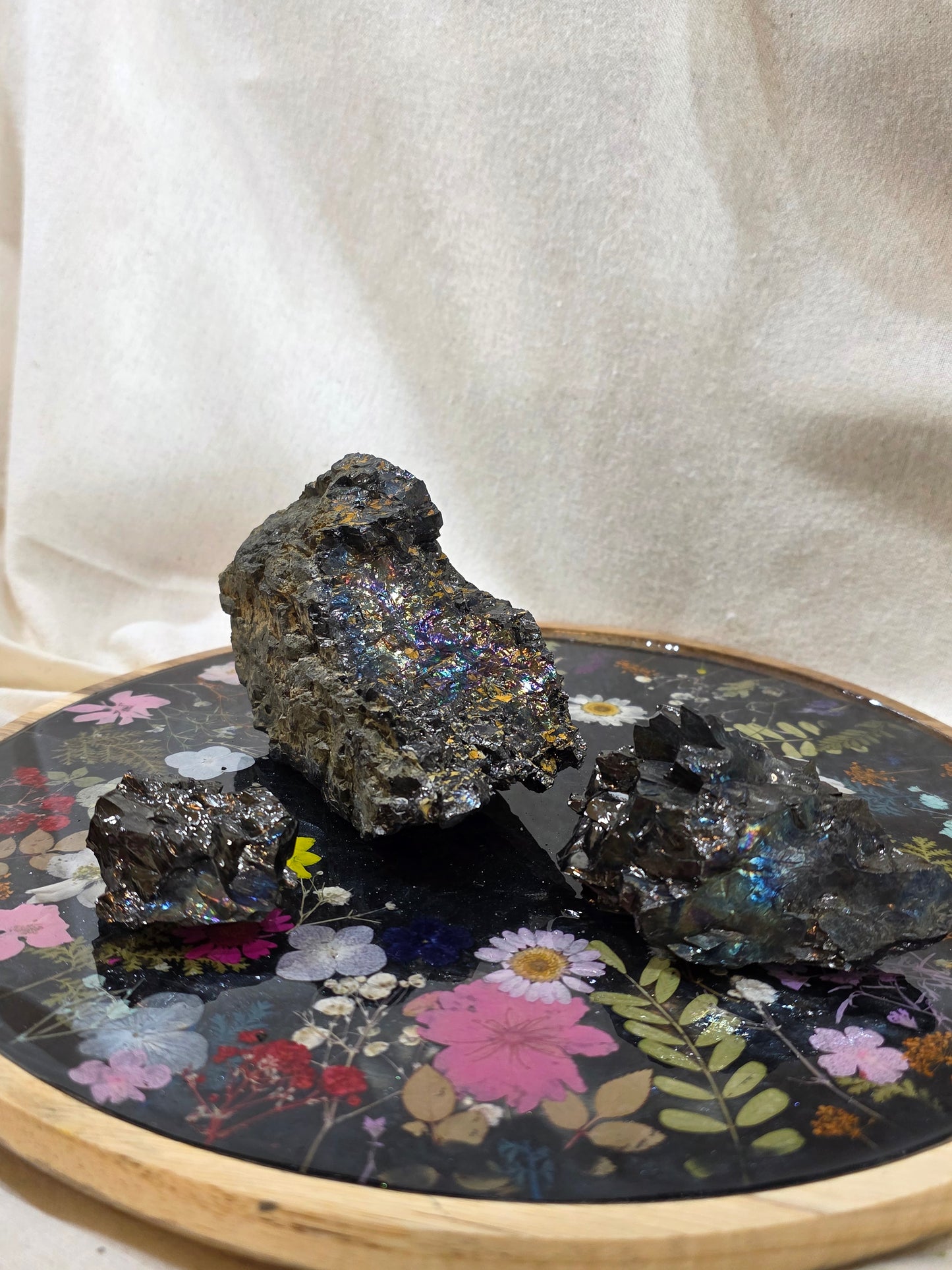Peacock Coal