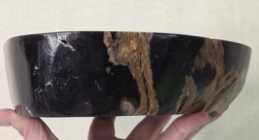 Petrified Wood Bowl