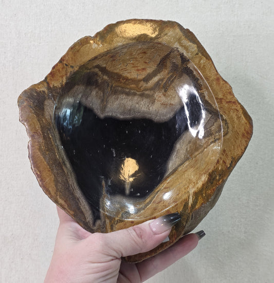 Petrified Wood Bowl