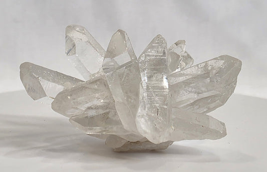 Arkansas Clear Quartz Cluster