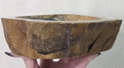 Petrified Wood Bowl