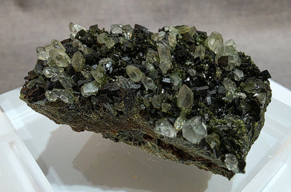 Black Epidote with Quart