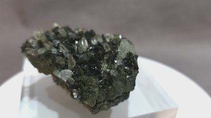 Black Epidote with Quart