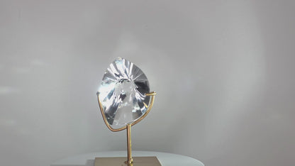 Polished Lemurian Diamond