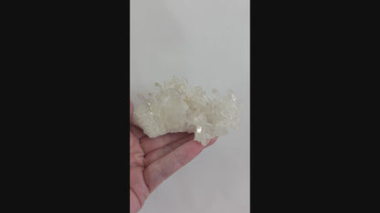 Arkansas Clear Quartz Cluster