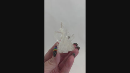 Arkansas Clear Quartz Cluster