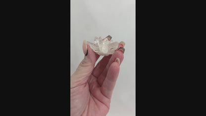 Arkansas Clear Quartz Cluster